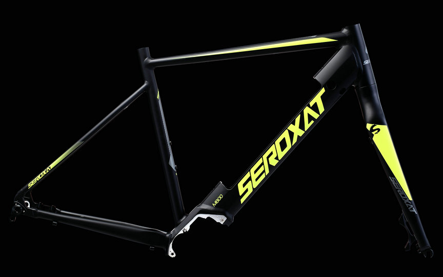 2020 Bafang M800 